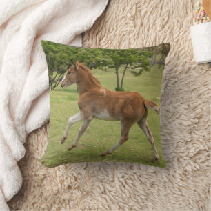 Osterinsel aka Rapa Nui Kissen