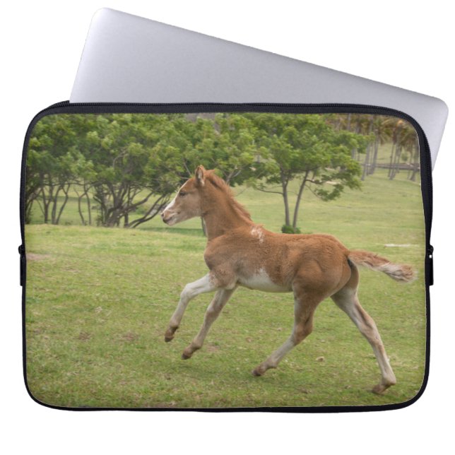 Osterinsel aka Rapa Nui Laptopschutzhülle (Vorderseite)