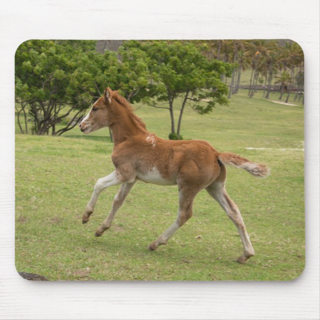 Osterinsel aka Rapa Nui Mousepad (Vorne)