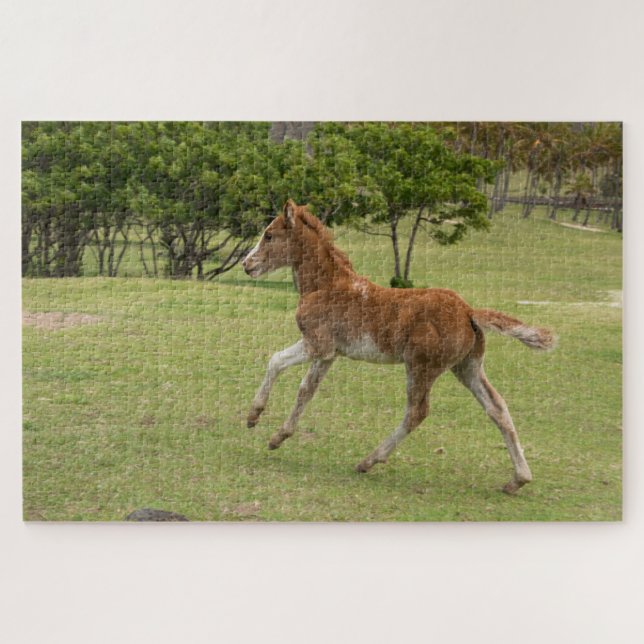 Osterinsel aka Rapa Nui Puzzle (Horizontal)