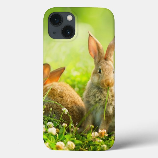 Osterkaninchen Case-Mate iPhone Hülle (Rückseite)