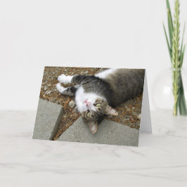Osterkarte der Tabby-Katze auf den Kopf Feiertagskarte