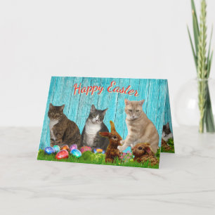 Osterkarte - Katzen und Hasen Feiertagskarte