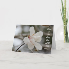 Osterkarte: Magnolia Bloom, w Vers des Glaubens Feiertagskarte