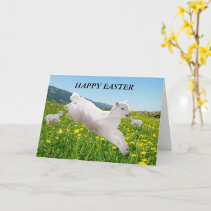 Osterkarte mit Frühjahrs-Zeit-Lämmern Karte