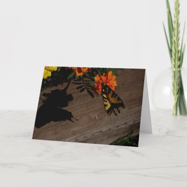 Osterkarte "Morning Shadow" Karte (Vorderseite)