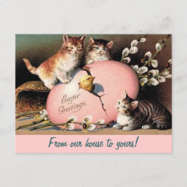 Osterkätzchen Vintag Gruß Postkarte