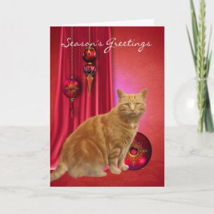 Osterkatze Saisongrußkarte mit Ornamenten Feiertagskarte