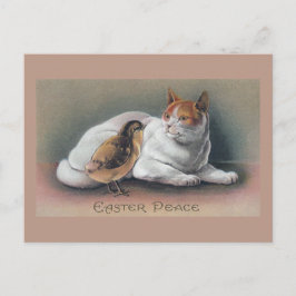 Osterkatze und Küken Feiertagspostkarte