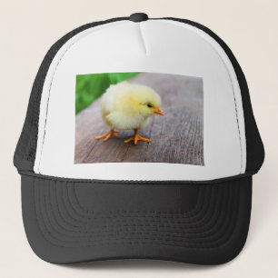 Osterkeule Truckerkappe