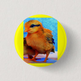 Osterkick-A-Dee-Light Button