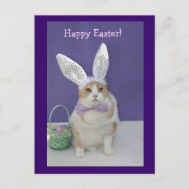 Osterkitty Feiertagspostkarte