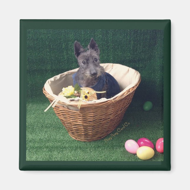 Osterkorb Scottie Magnet (Vorne)