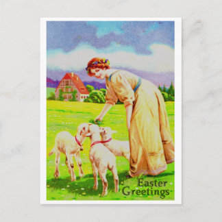 Osterlämmer Postkarte