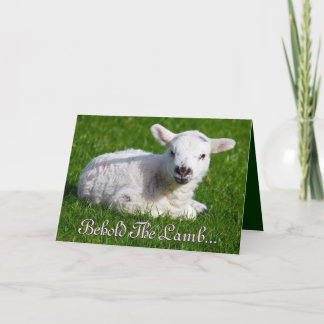 Osterleben Das Lamm I Feiertagskarte