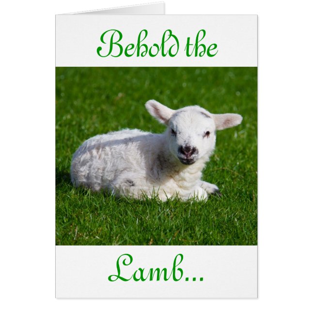 Osterleben: Lamb III-Urlaubskarte (Vorne)