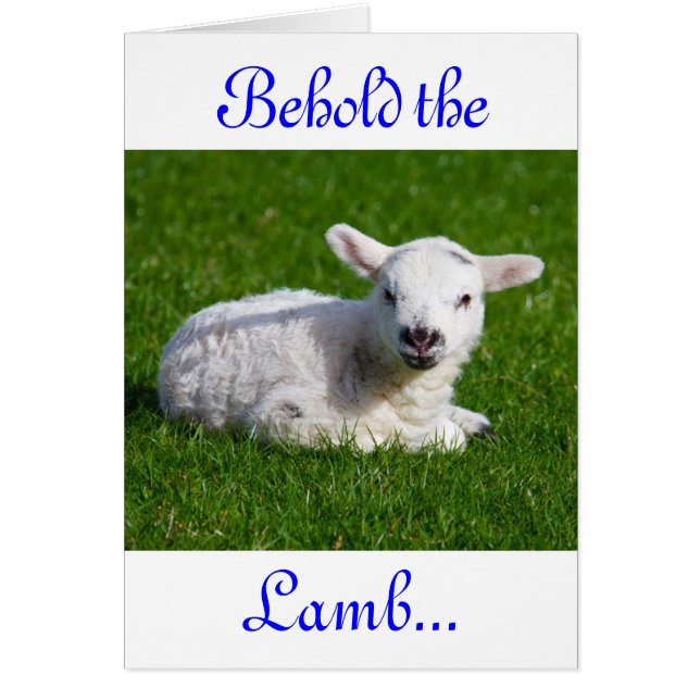 Osterleben: Lamb IV-Urlaubskarte (Vorne)