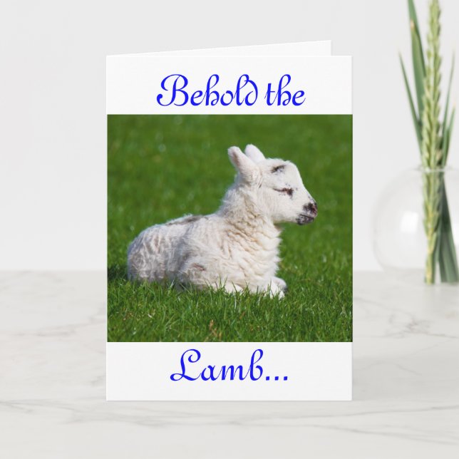Osterleben: Lamb IV-Urlaubskarte Feiertagskarte (Vorderseite)