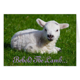 Osterleben: Lamm-Urlaubskarte