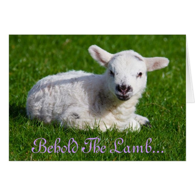 Osterleben: Lamm-Urlaubskarte (Vorderseite (Horizontal))