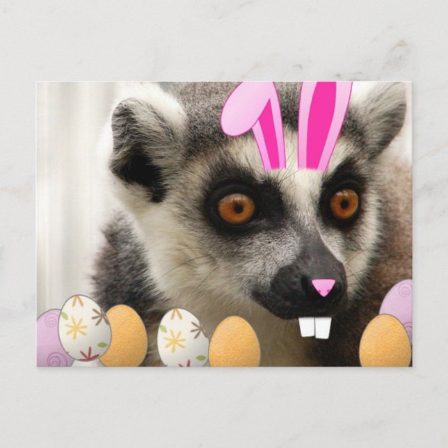Osterlemur Feiertagspostkarte (Vorderseite)