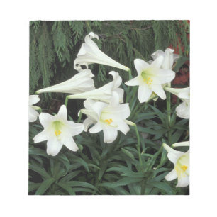 Osterlilie (Lilium regale) Notizblock