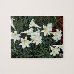 Osterlilie (Lilium regale) Puzzle