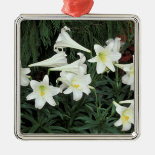 Osterlilie (Lilium regale) Silbernes Ornament