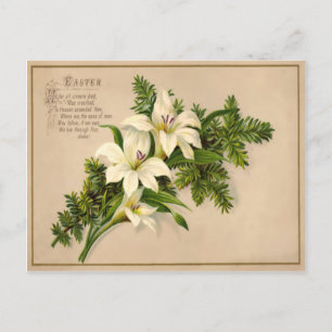 Osterlilien-Vintage-Postkarte Feiertagspostkarte