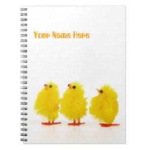 Ostern-Babyküken Notizbuch Notizblock