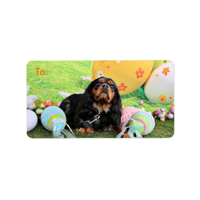 Ostern - Cavalier King Charles Spaniel - Charlie Adressaufkleber (Vorne)