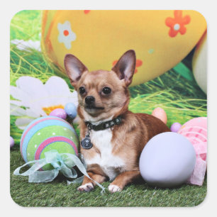 Ostern - Chihuahua - Rambo Quadratischer Aufkleber