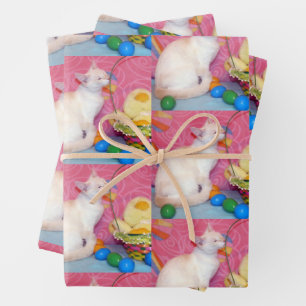 Ostern der Tiffany - Katzenwaschpapier - 3 Blätter
