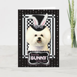 Ostern - Einige sonnige Lieben Sie - Bichon Fest Feiertagskarte