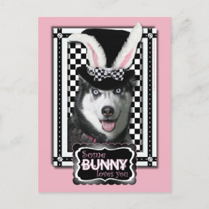 Ostern - einige sonnige Lieben Sie - Husky Feiertagspostkarte