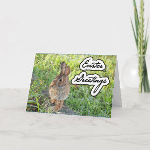 Ostern-Garten-Häschen-Karte Feiertagskarte