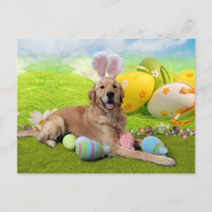 Ostern - Goldene Retriever - Frank Feiertagspostkarte