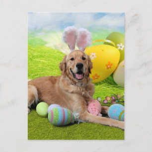 Ostern - Goldene Retriever - Frank Feiertagspostkarte