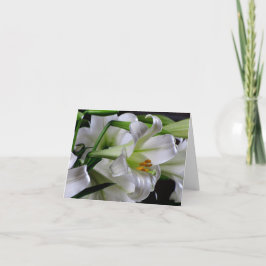 Ostern-Gruß-Karte #1 00678900 Feiertagskarte