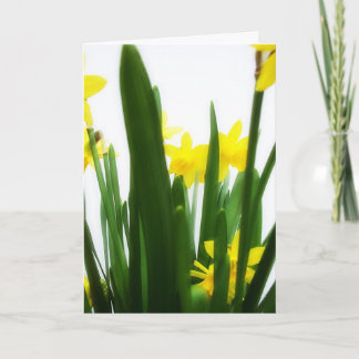 Ostern-Grüße Feiertagskarte