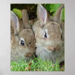 Ostern-Häschen-Segen u. Glaube Poster