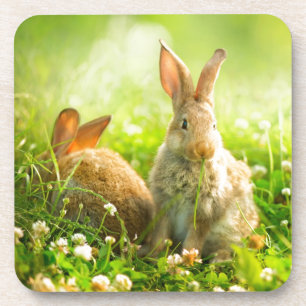Ostern-Kaninchen Getränkeuntersetzer
