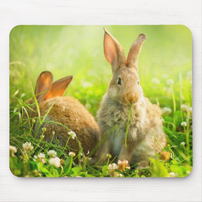 Ostern-Kaninchen Mousepad (Vorne)