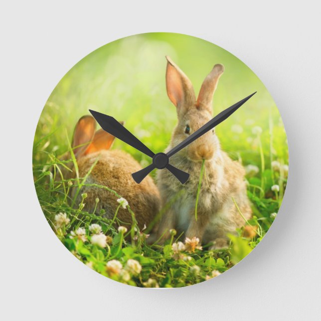 Ostern-Kaninchen Runde Wanduhr (Vorderseite)