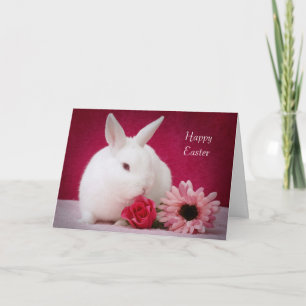 Ostern-Karte Feiertagskarte