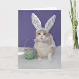 Ostern-Miezekatze Feiertagskarte