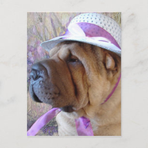 Ostern-Mütze Feiertagspostkarte