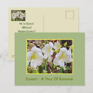 OSTERN POSTKARTE/WEIßE TAGLILIEN POSTKARTE