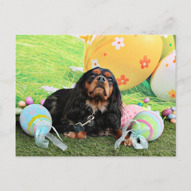Ostern - unbekümmerter Königcharles Spaniel - Feiertagspostkarte (Vorderseite)