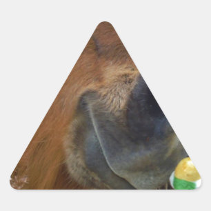 Osterpferd Dreieckiger Aufkleber